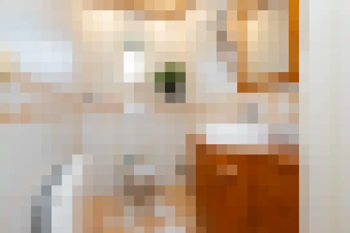 Wilhelminaweg 54 Ouddorp thumbnail 13