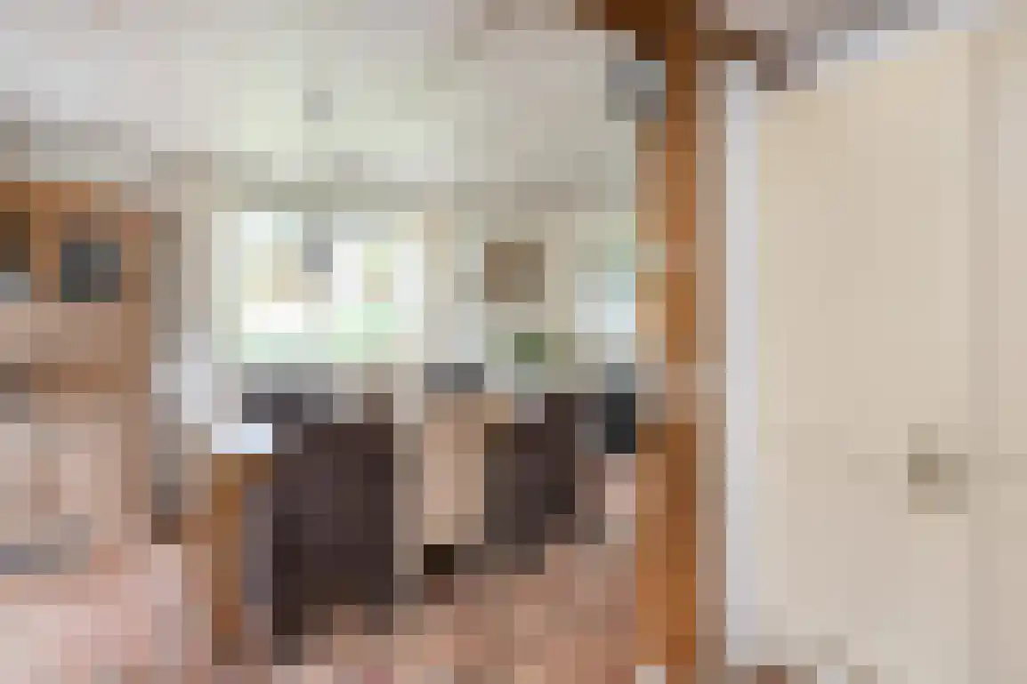 Wilhelminaweg 54 Ouddorp thumbnail 17