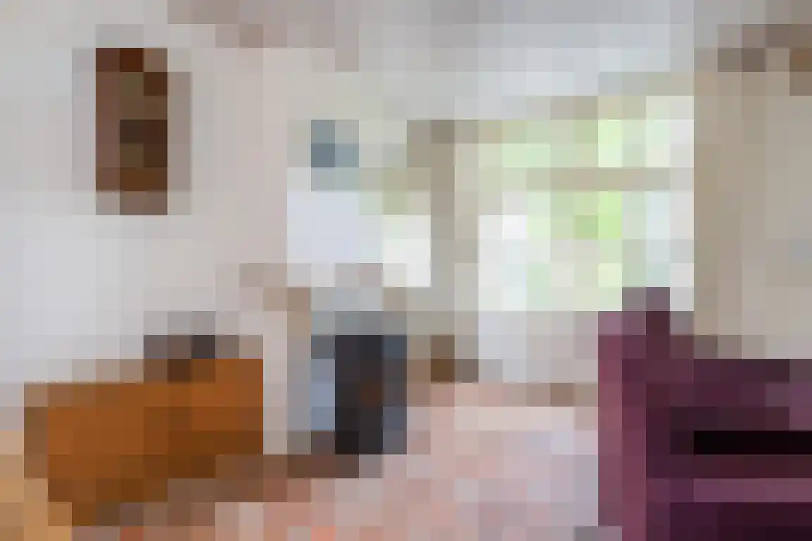 Wilhelminaweg 54 Ouddorp thumbnail 20