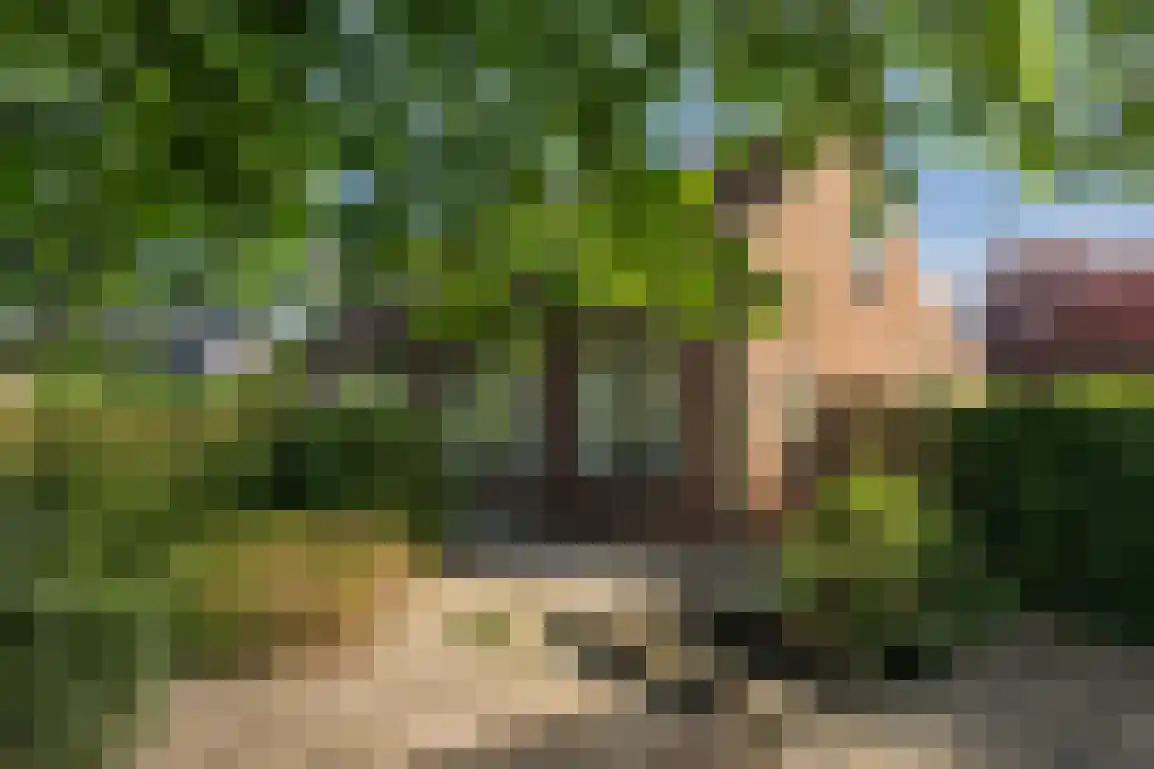 Wilhelminaweg 54 Ouddorp thumbnail 5