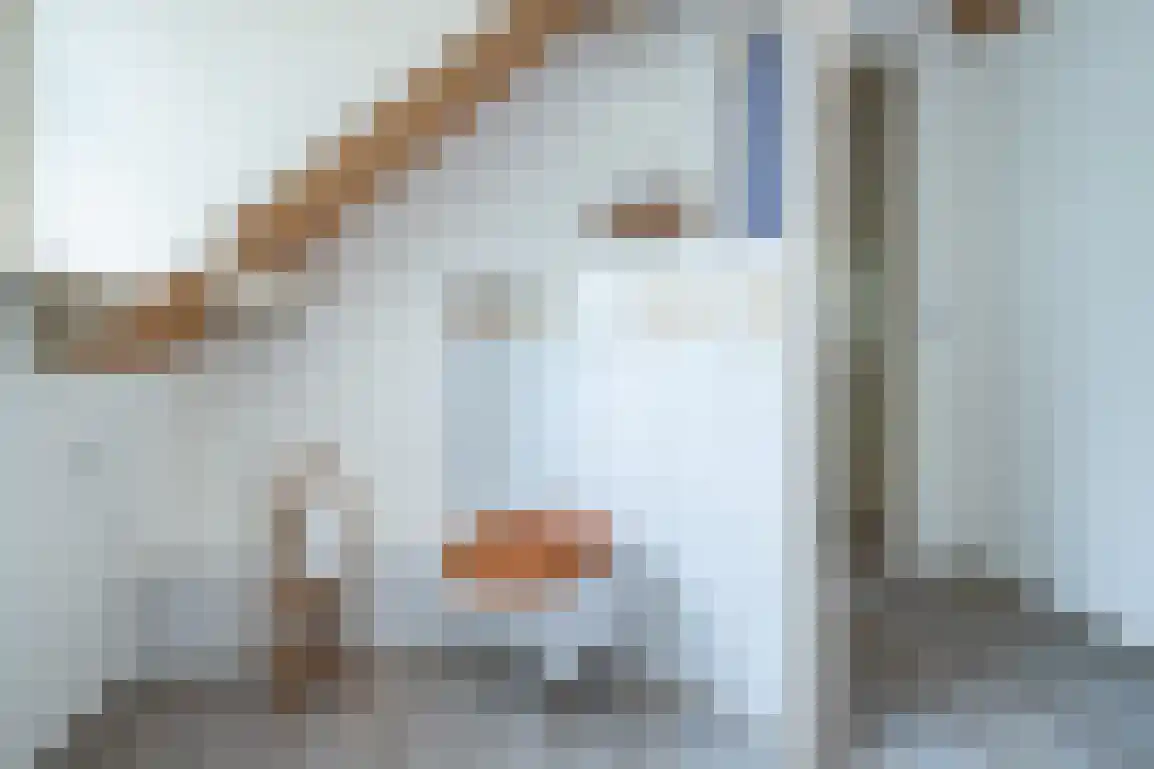 Wilhelminaweg 54 Ouddorp thumbnail 50
