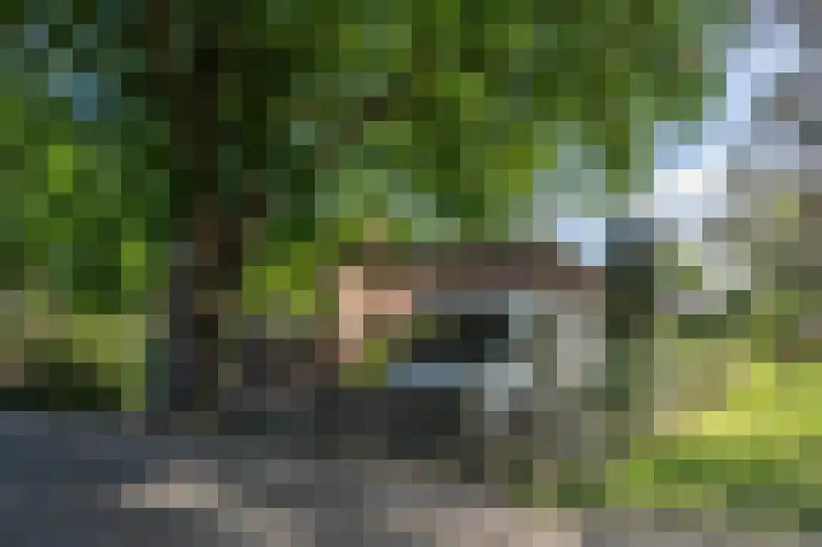 Wilhelminaweg 54 Ouddorp thumbnail 58