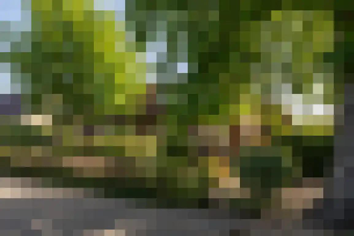 Wilhelminaweg 54 Ouddorp thumbnail 7