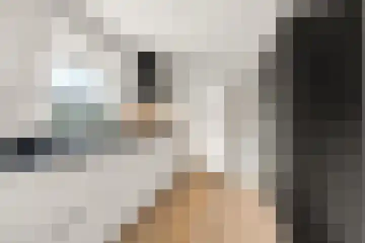 Wilhelminaweg 84 d Dieren thumbnail 11