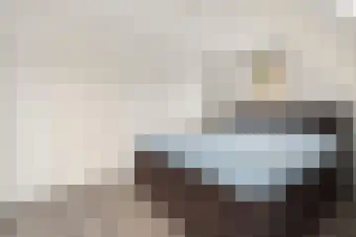 Wilhelminaweg 84 d Dieren thumbnail 19