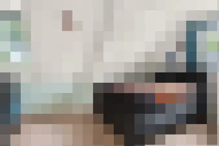 Wilhelminaweg 84 d Dieren thumbnail 24