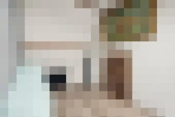 Wilhelminaweg 84 d Dieren thumbnail 29