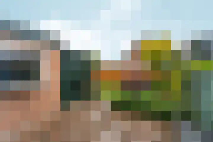 Wilhelminaweg 84 d Dieren thumbnail 31