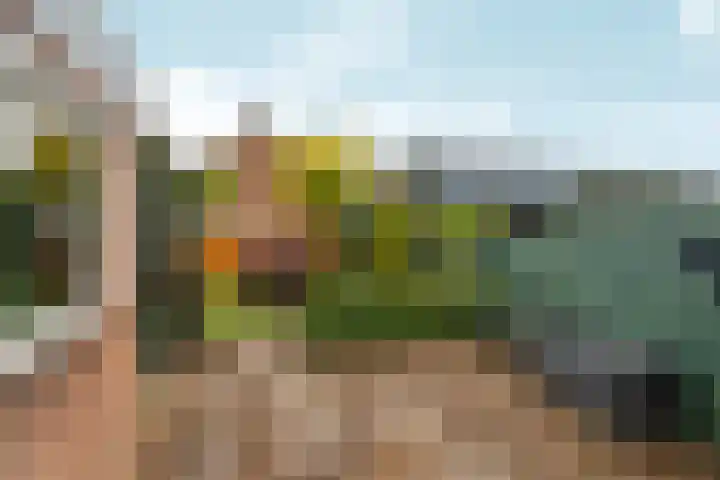 Wilhelminaweg 84 d Dieren thumbnail 32