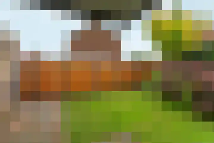 Wilhelminaweg 84 d Dieren thumbnail 33