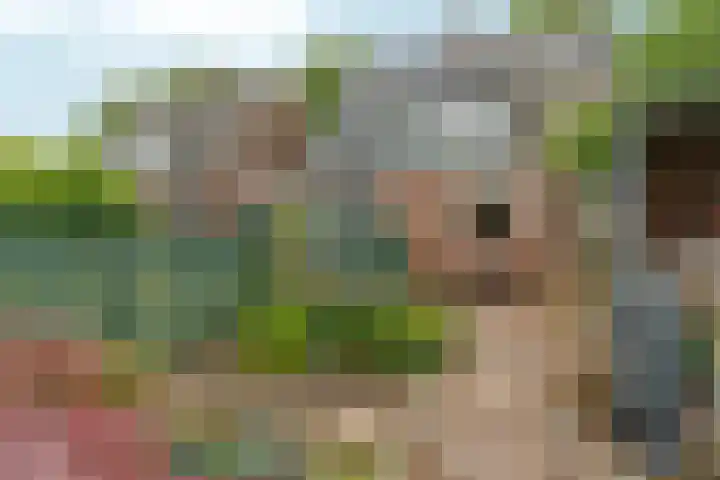 Wilhelminaweg 84 d Dieren thumbnail 34