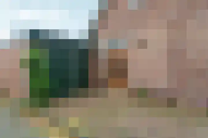 Wilhelminaweg 84 d Dieren thumbnail 37