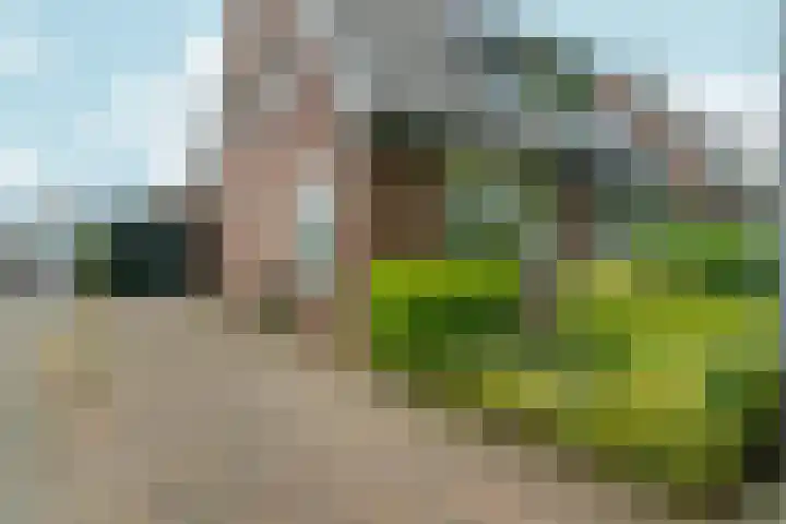 Wilhelminaweg 84 d Dieren thumbnail 38