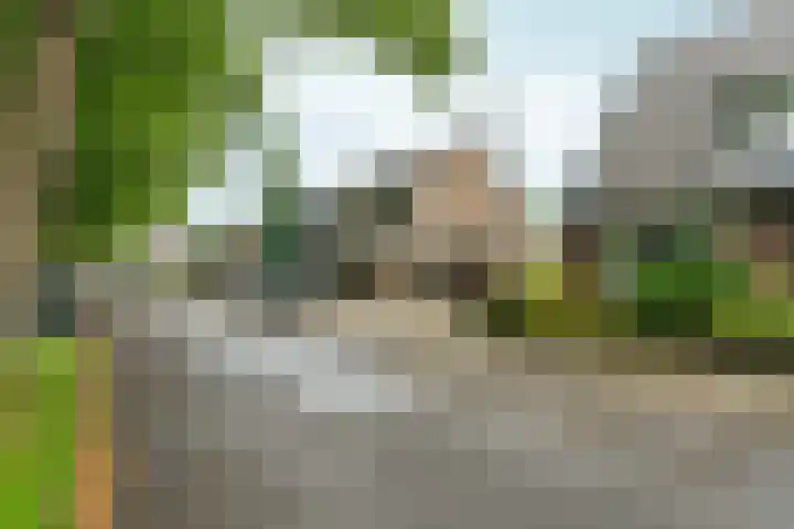 Wilhelminaweg 84 d Dieren thumbnail 39