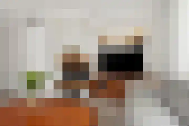 Wilhelminaweg 84 d Dieren thumbnail 4