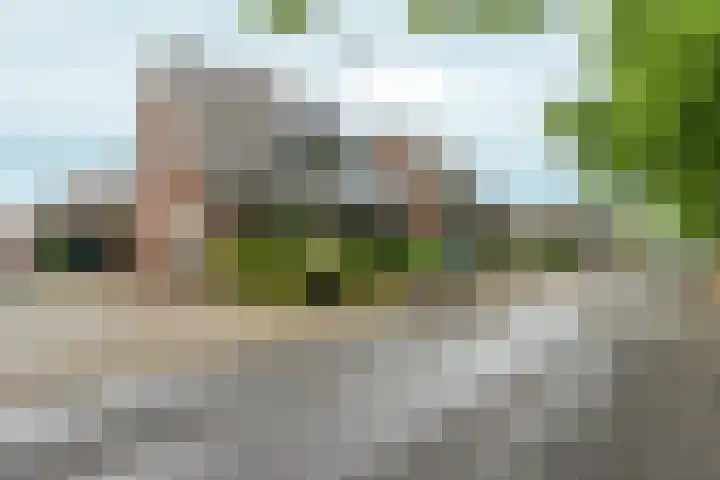 Wilhelminaweg 84 d Dieren thumbnail 40