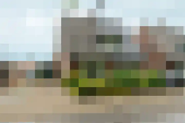Wilhelminaweg 84 d Dieren thumbnail 45