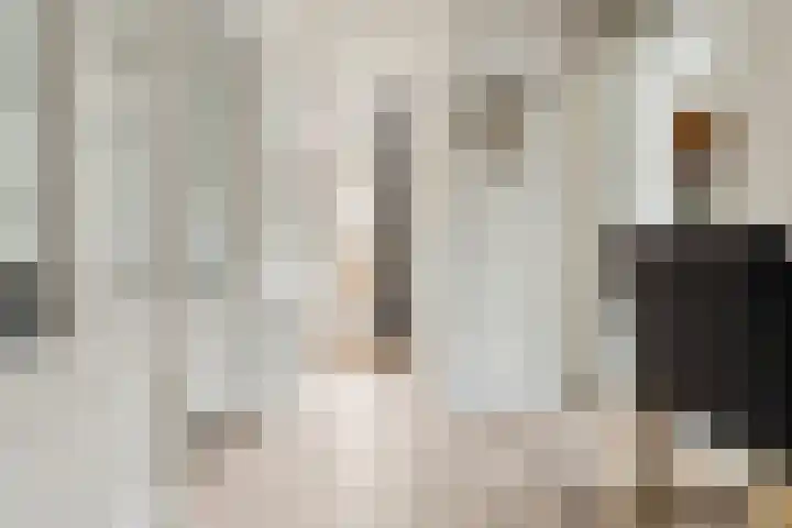 Wilhelminaweg 84 d Dieren thumbnail 8