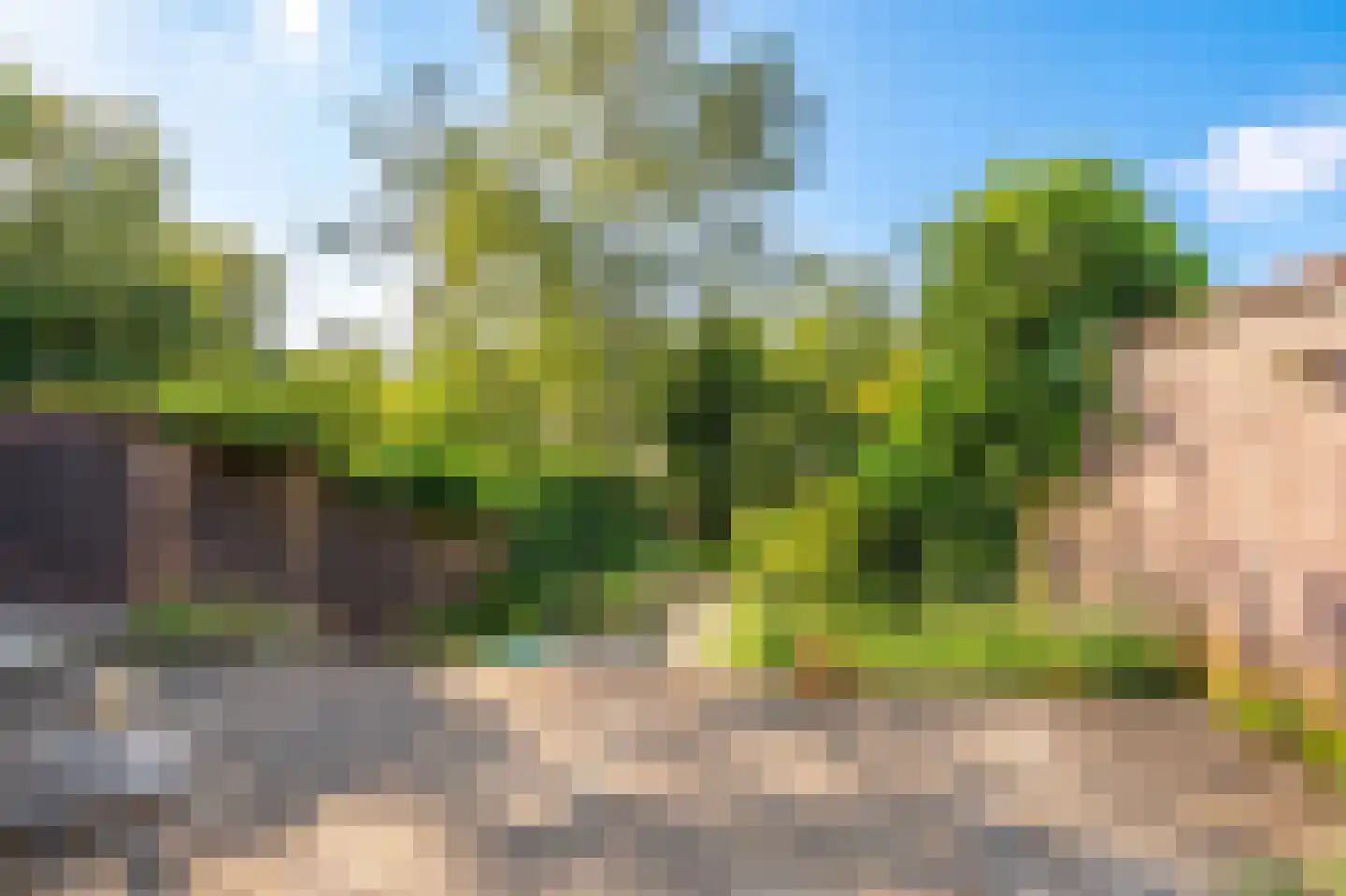 Wilhelminaweg 9 Doorn thumbnail 20