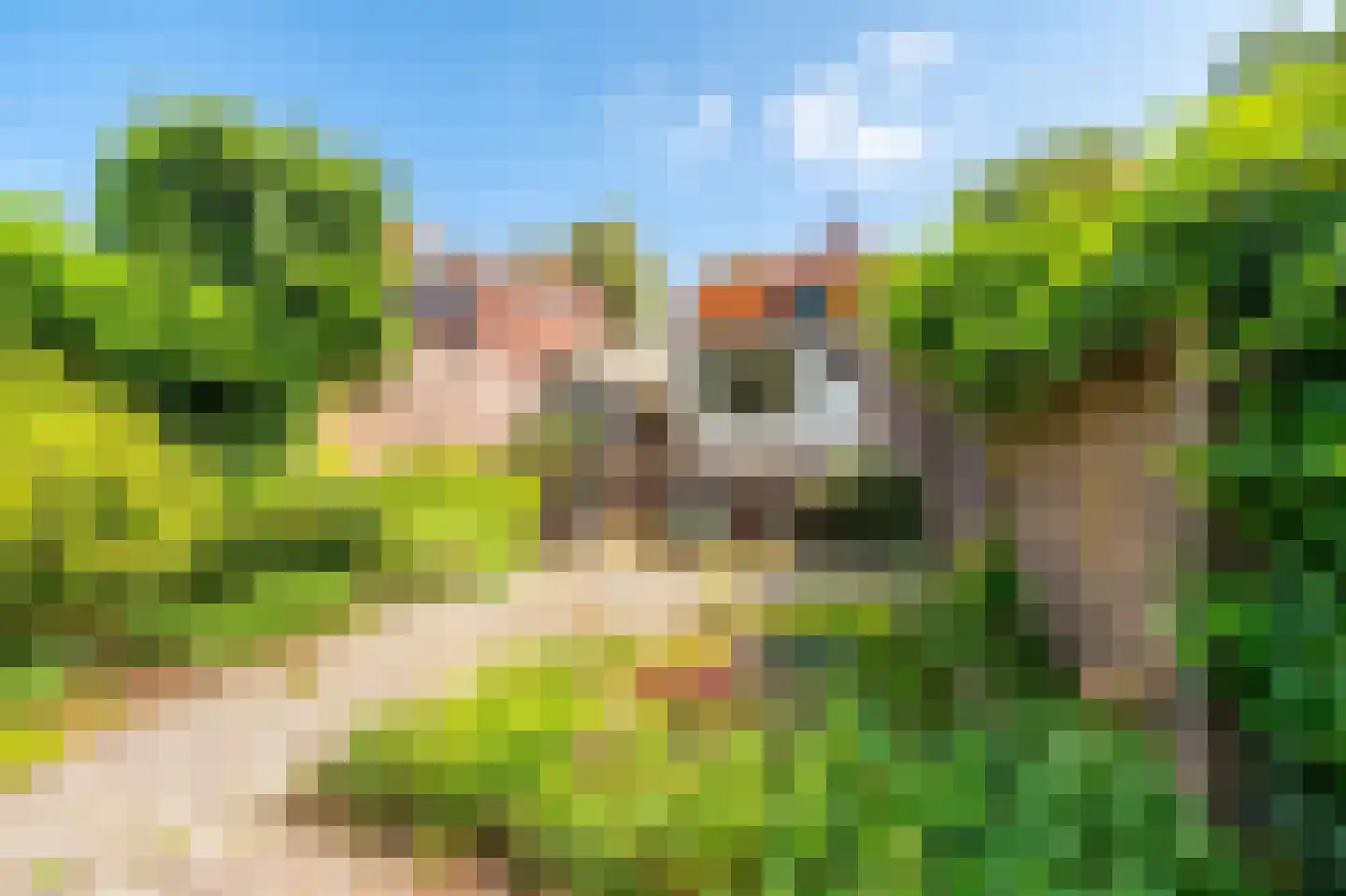 Wilhelminaweg 9 Doorn thumbnail 22