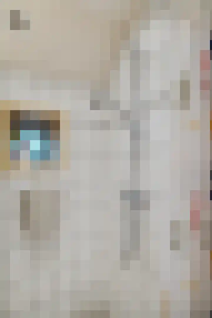 Wilhelminawijk 10 Oude Pekela thumbnail 15