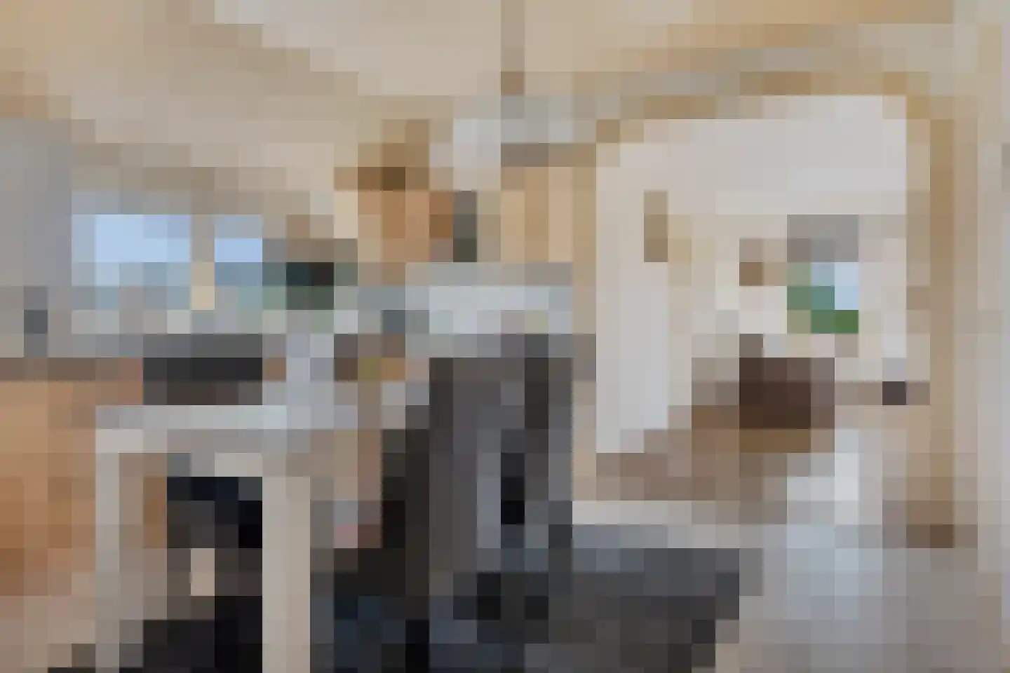 Wilhelminawijk 10 Oude Pekela thumbnail 17