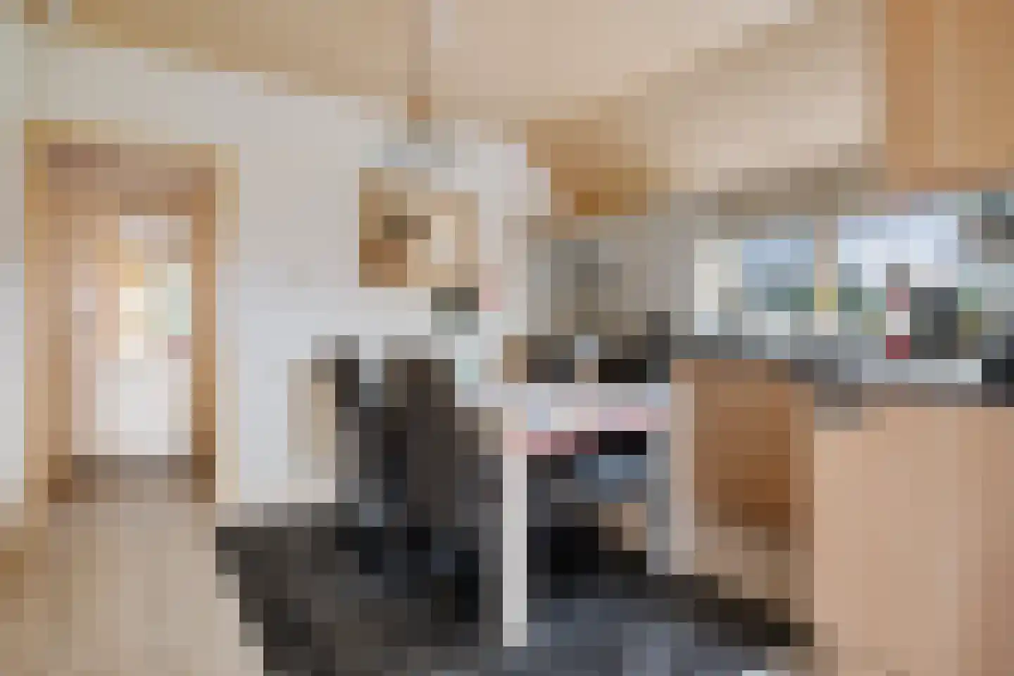 Wilhelminawijk 10 Oude Pekela thumbnail 18