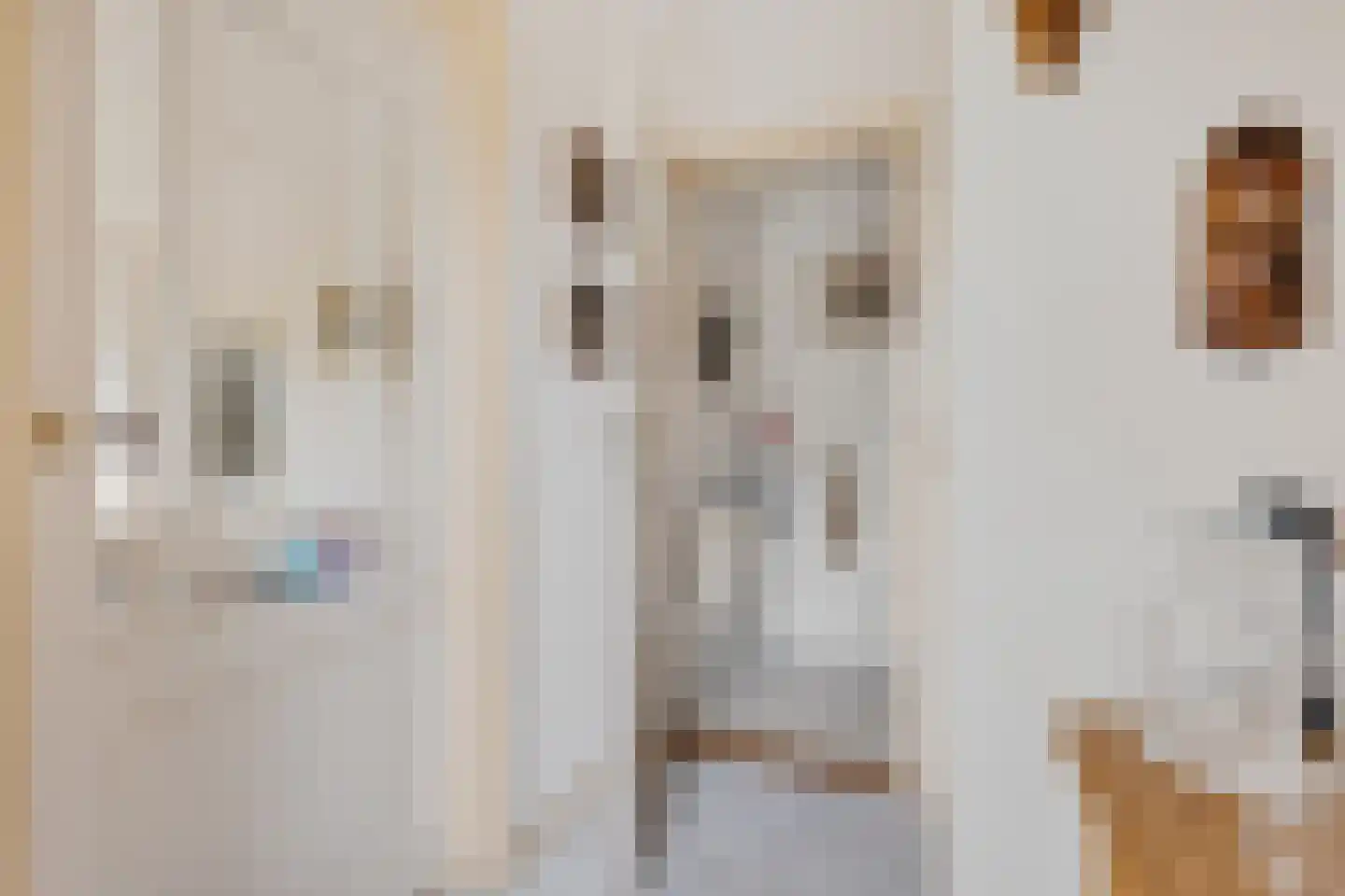 Wilhelminawijk 10 Oude Pekela thumbnail 25