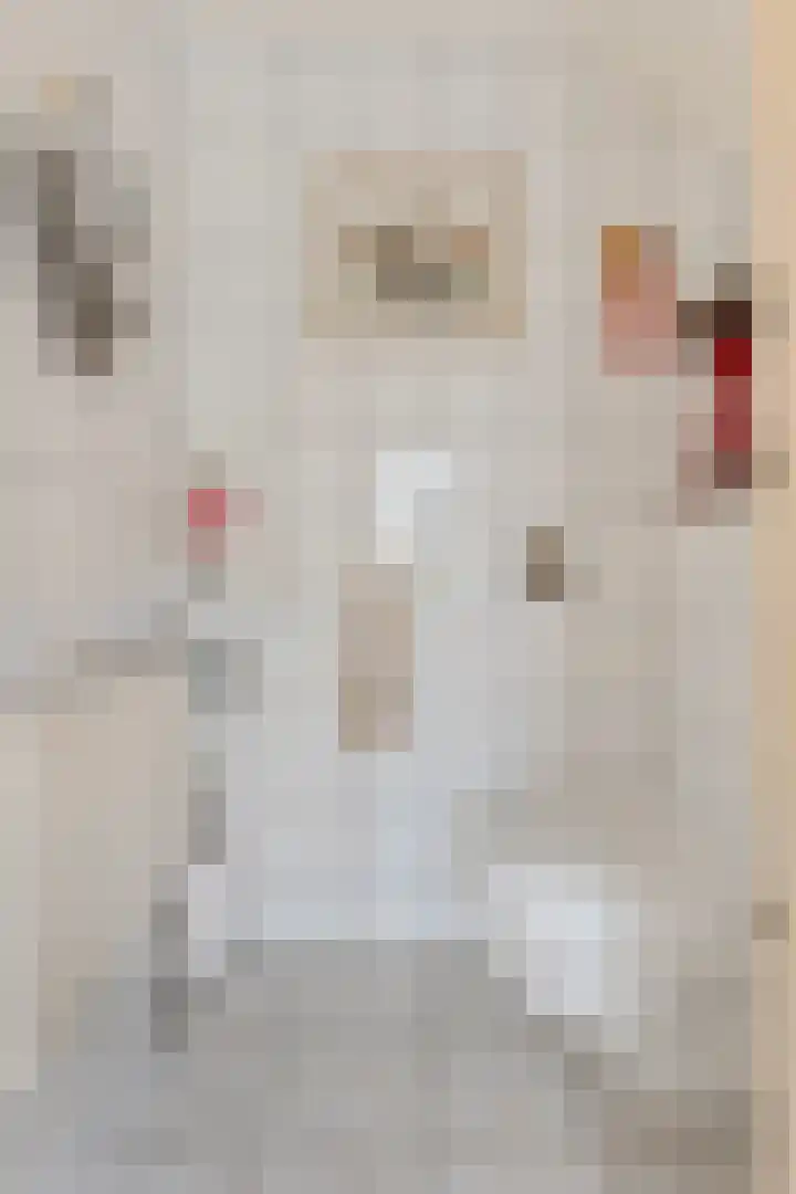 Wilhelminawijk 10 Oude Pekela thumbnail 26