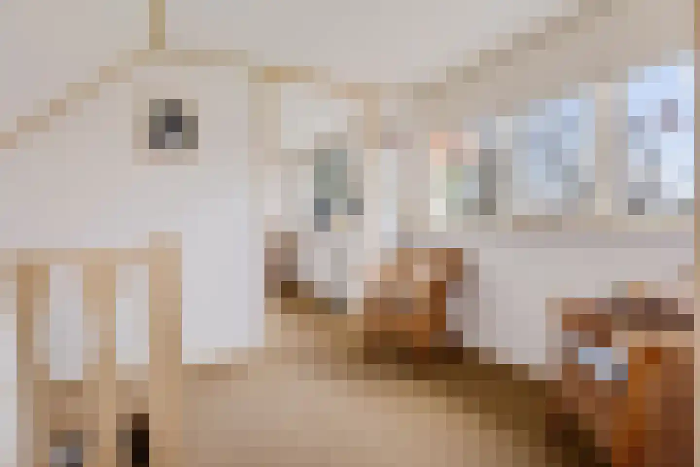 Wilhelminawijk 10 Oude Pekela thumbnail 32