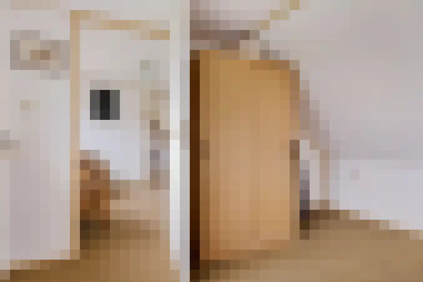 Wilhelminawijk 10 Oude Pekela thumbnail 34