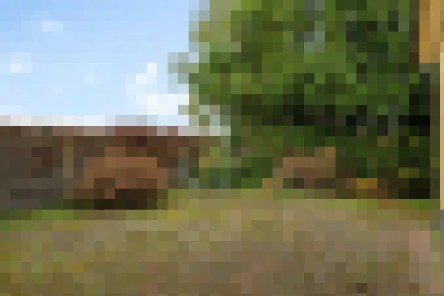 Wilhelminawijk 10 Oude Pekela thumbnail 37