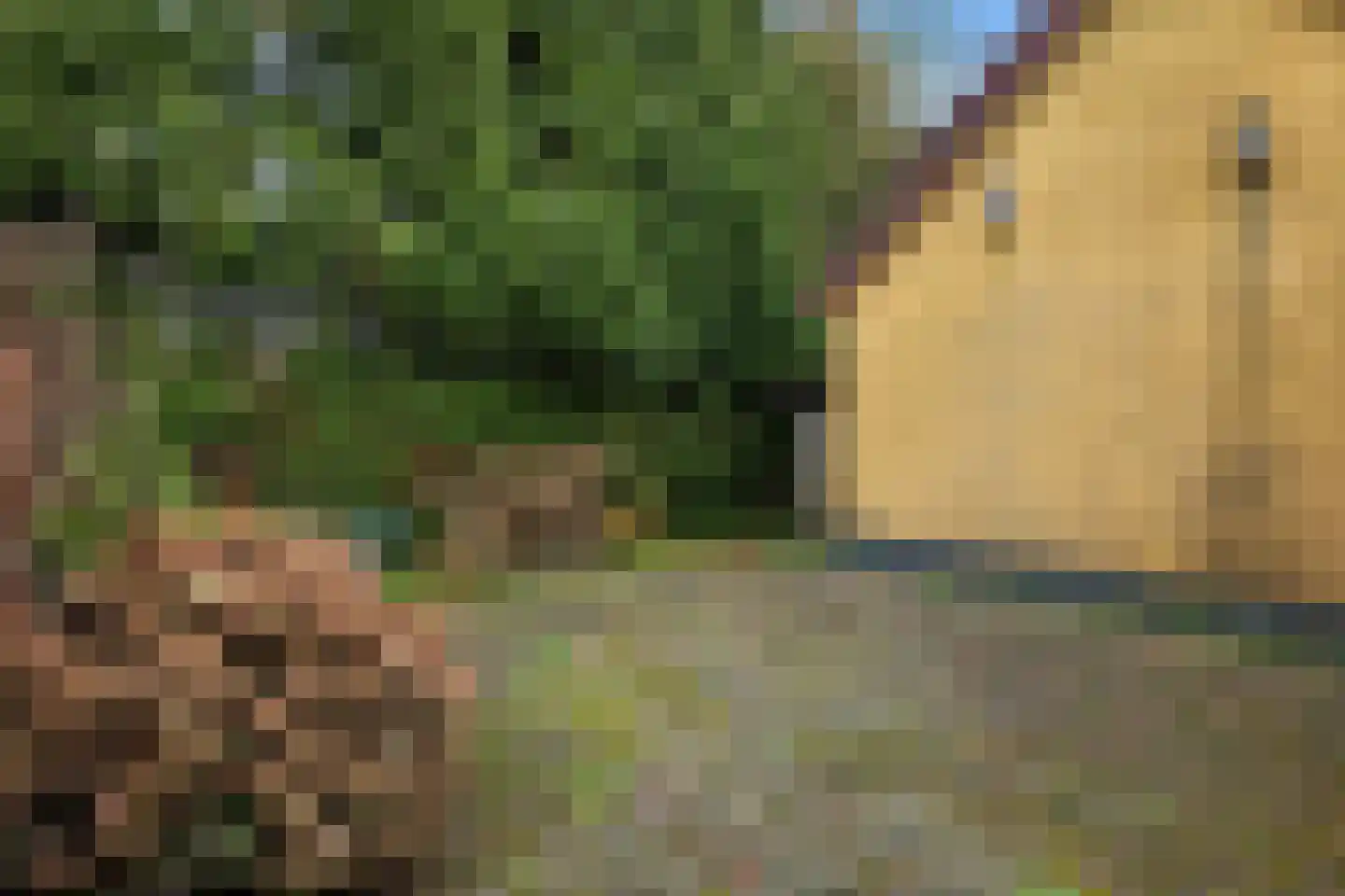 Wilhelminawijk 10 Oude Pekela thumbnail 38