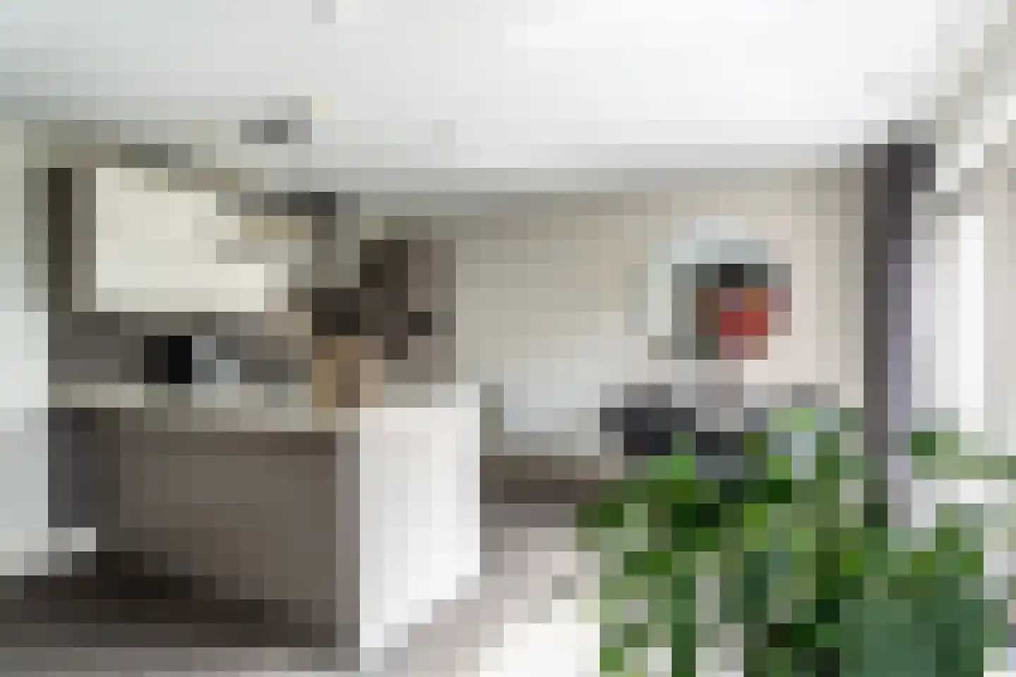Wilhelminawijk 4 Oude Pekela thumbnail 13