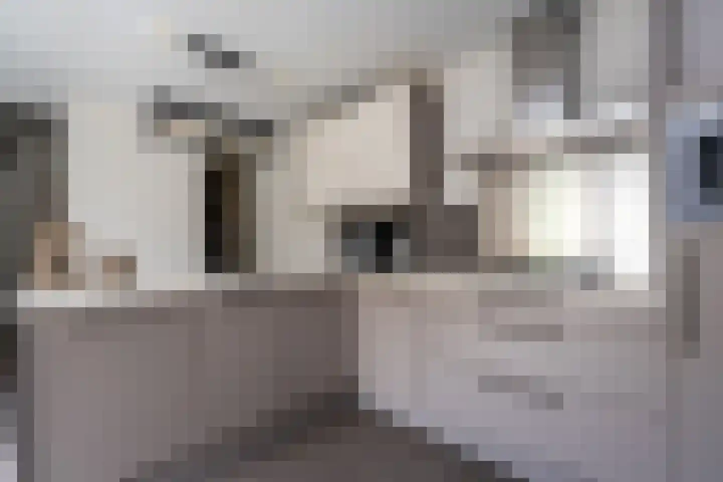 Wilhelminawijk 4 Oude Pekela thumbnail 16