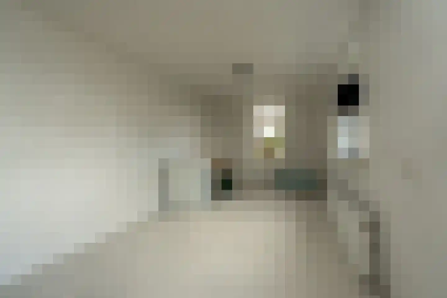 Wilhelminawijk 4 Oude Pekela thumbnail 28