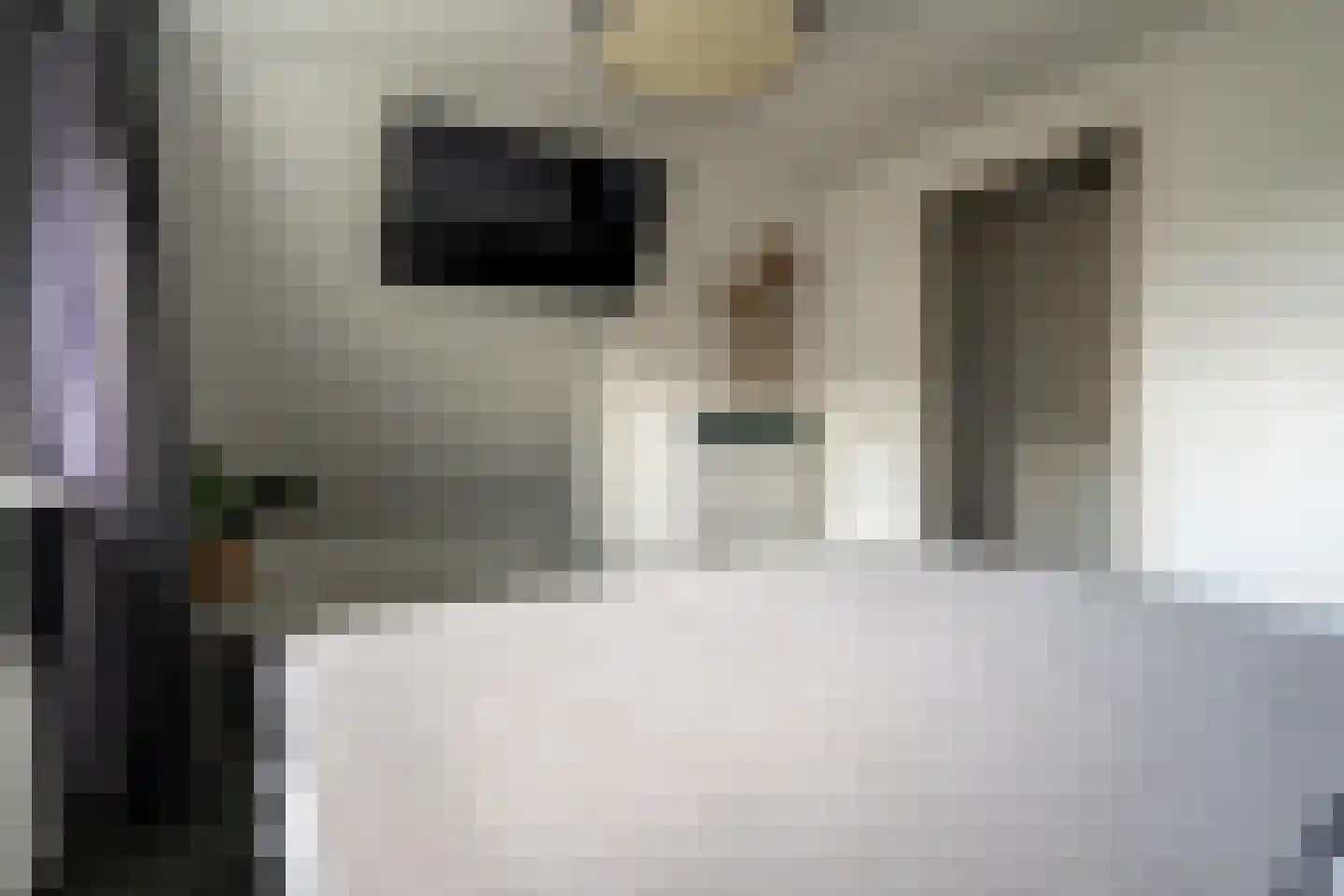 Wilhelminawijk 4 Oude Pekela thumbnail 33