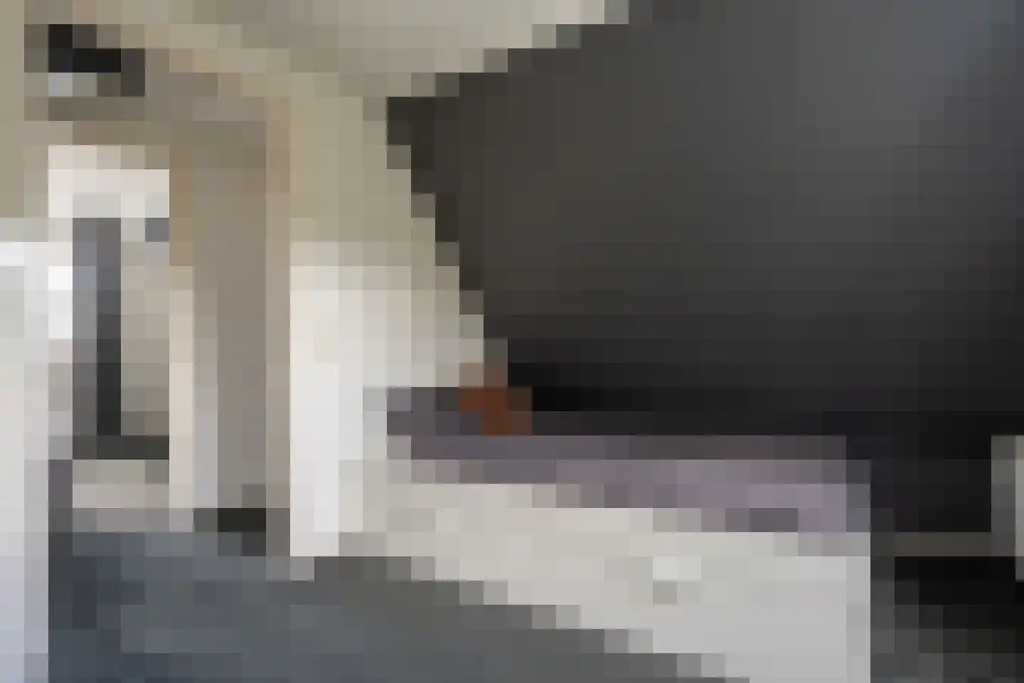 Wilhelminawijk 4 Oude Pekela thumbnail 36