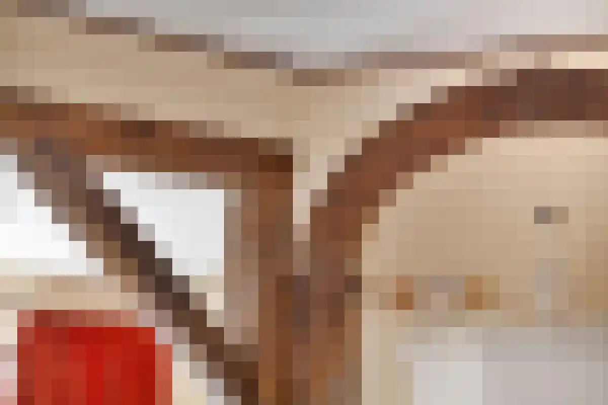 Wilhelmstaße 40 42 Bad Nieuweschans thumbnail 15