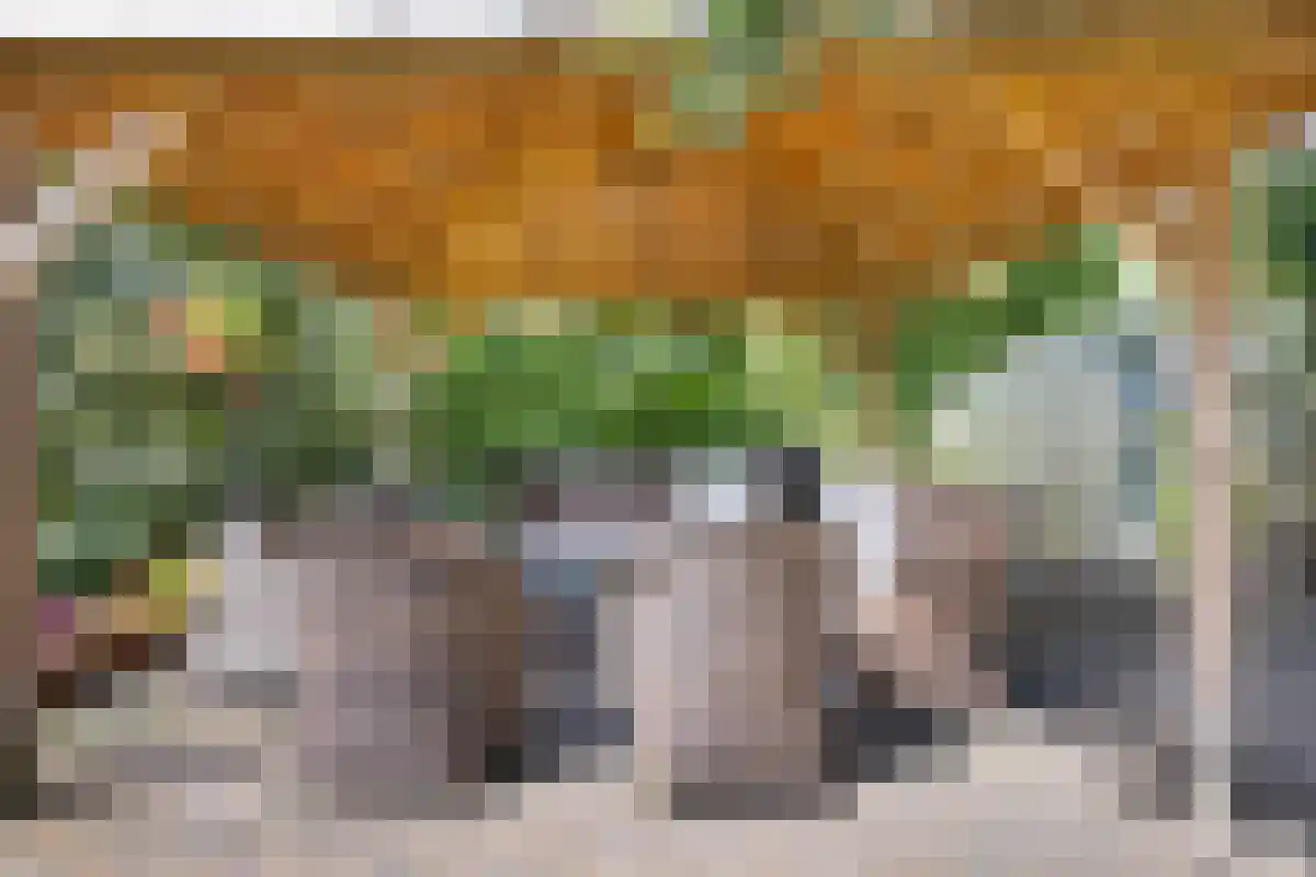 Wilhelmstaße 40 42 Bad Nieuweschans thumbnail 52