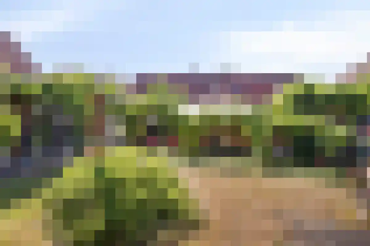 Wilhelmstaße 40 42 Bad Nieuweschans thumbnail 53