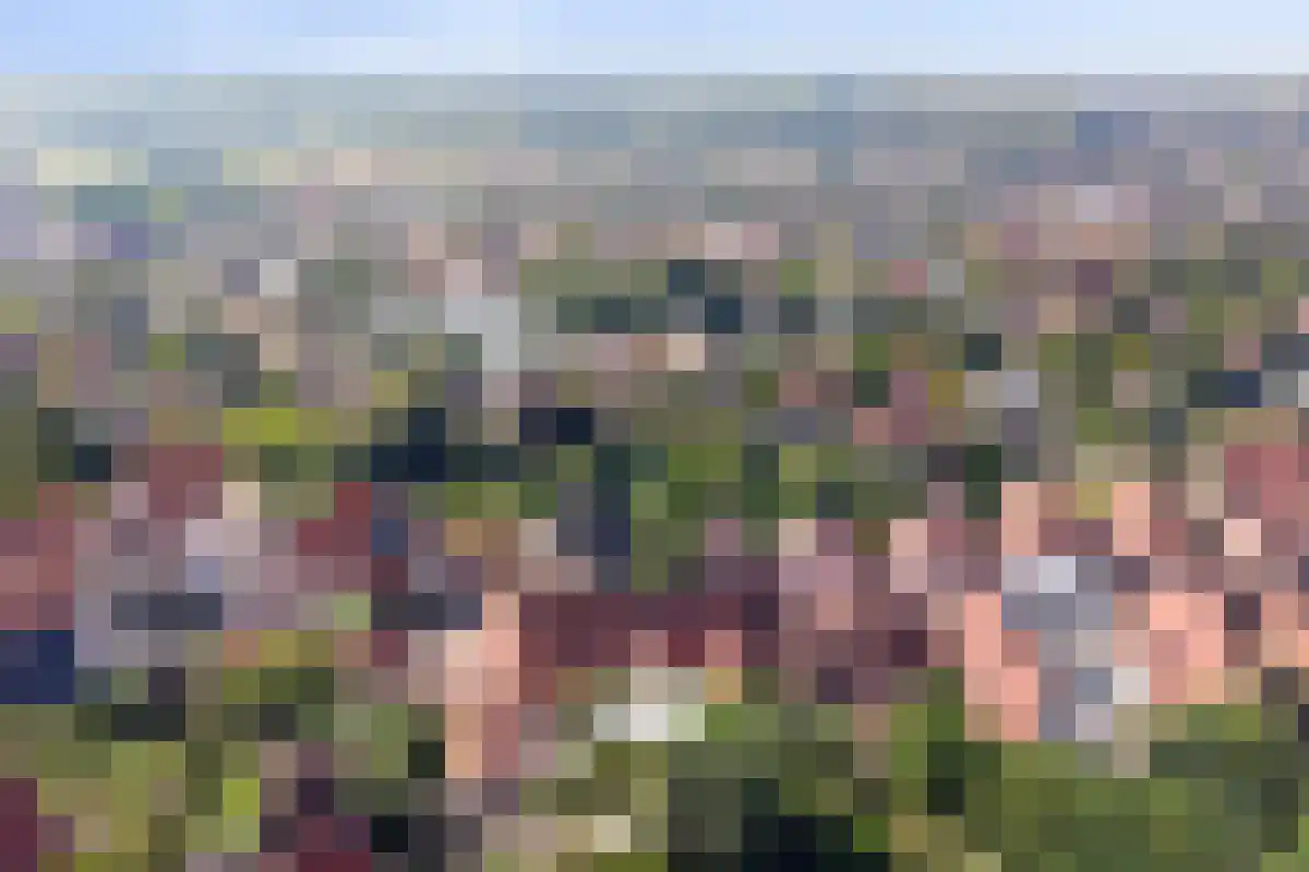Wilhelmstaße 40 42 Bad Nieuweschans thumbnail 59