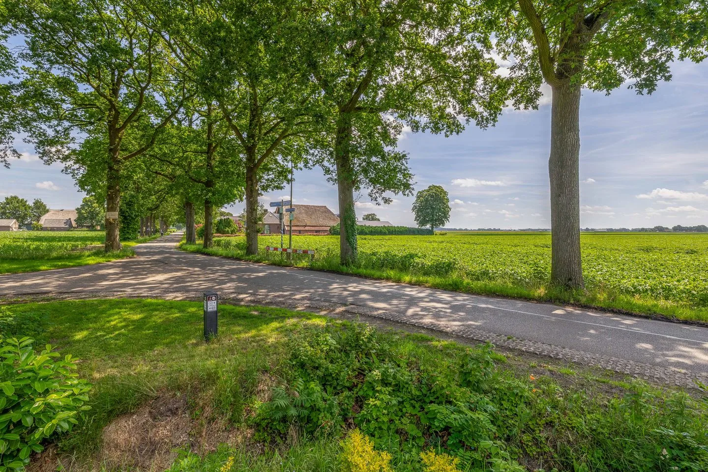 Wilhelmsweg 72 Emmen thumbnail 72