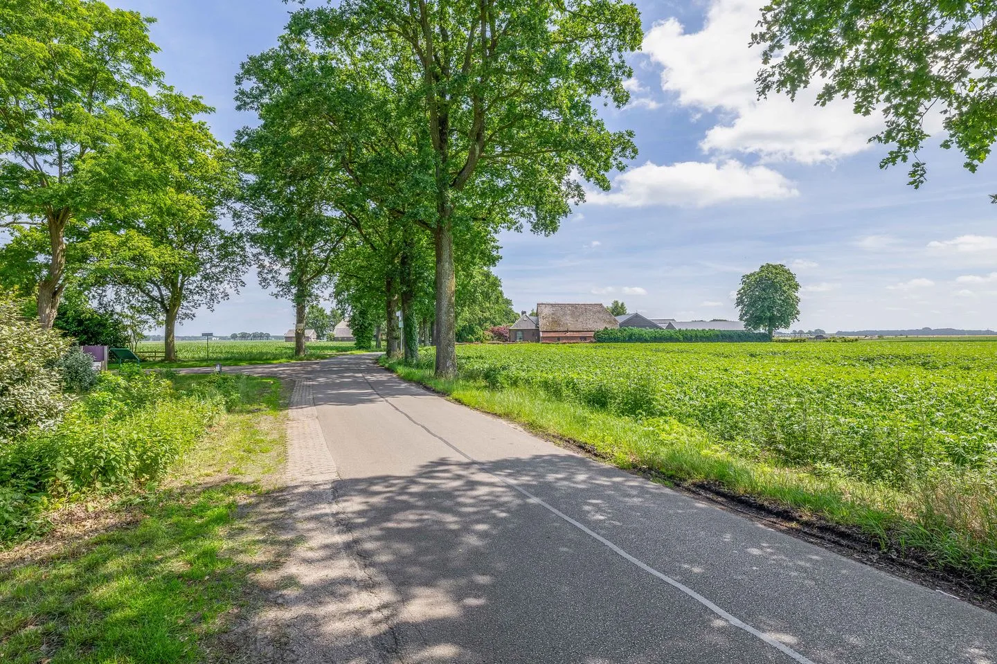 Wilhelmsweg 72 Emmen thumbnail 74