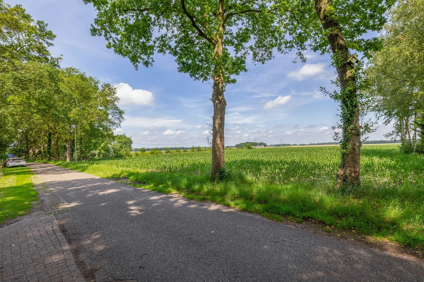 Wilhelmsweg 72 Emmen thumbnail 77