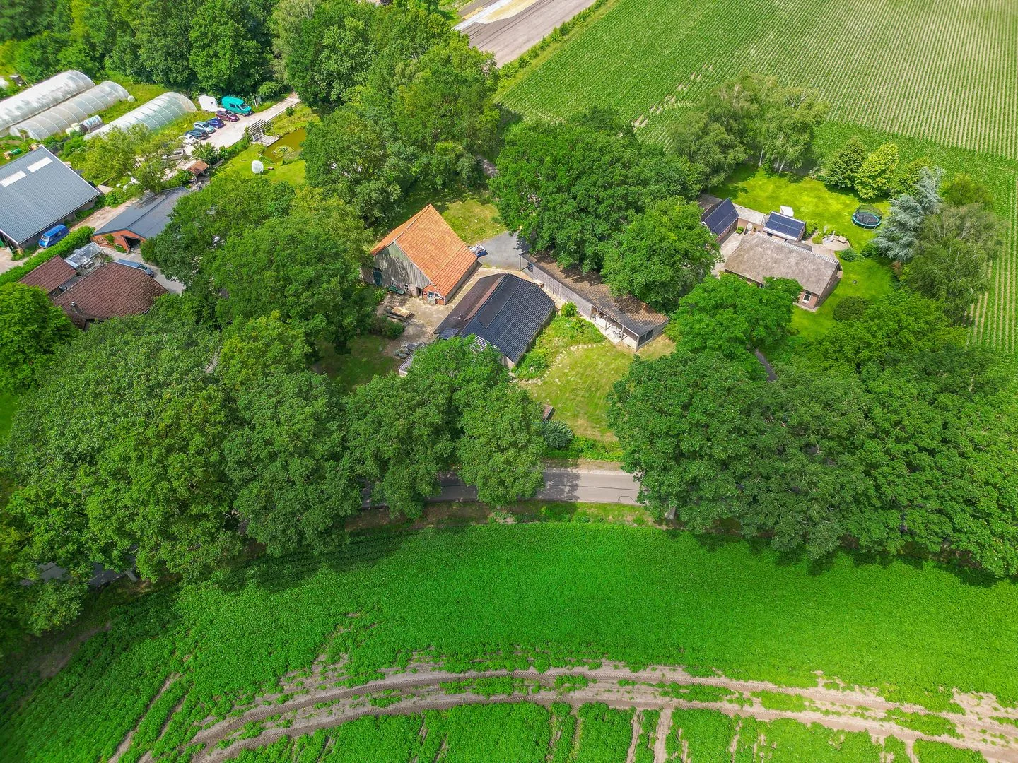 Wilhelmsweg 72 Emmen thumbnail 83