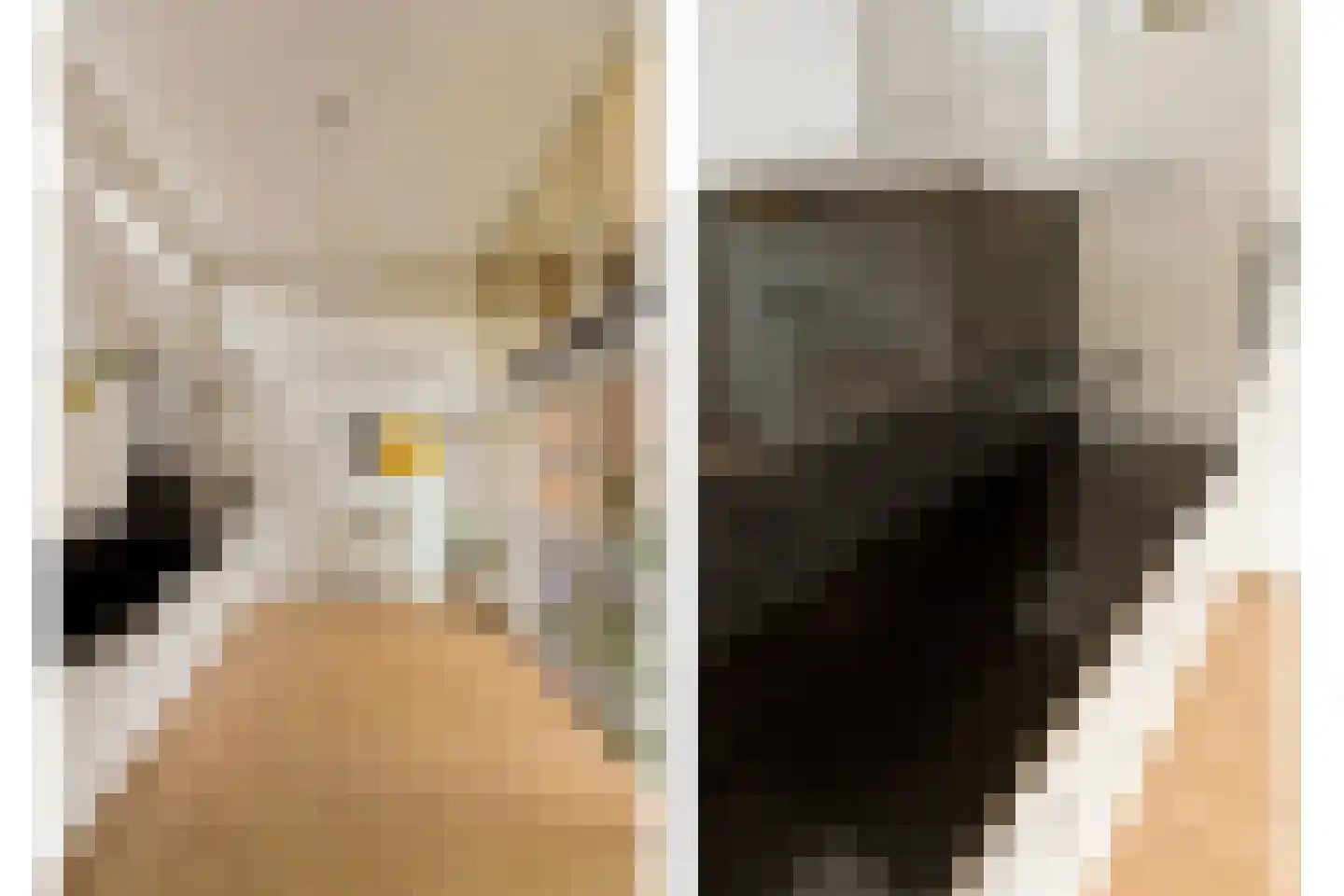 Wilhelmus Peekhof 115 Odijk thumbnail 31