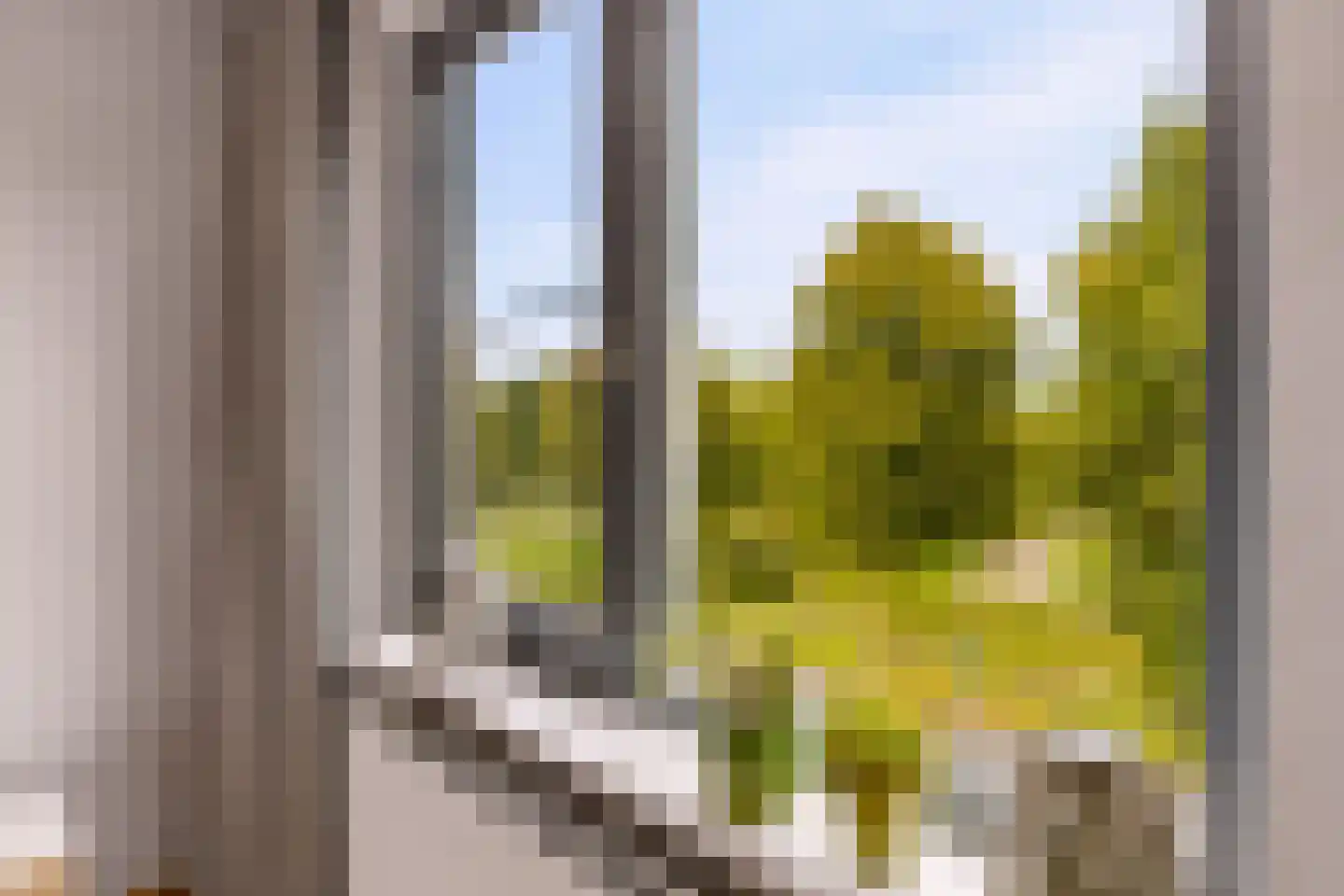 Wilhelmus Peekhof 115 Odijk thumbnail 34