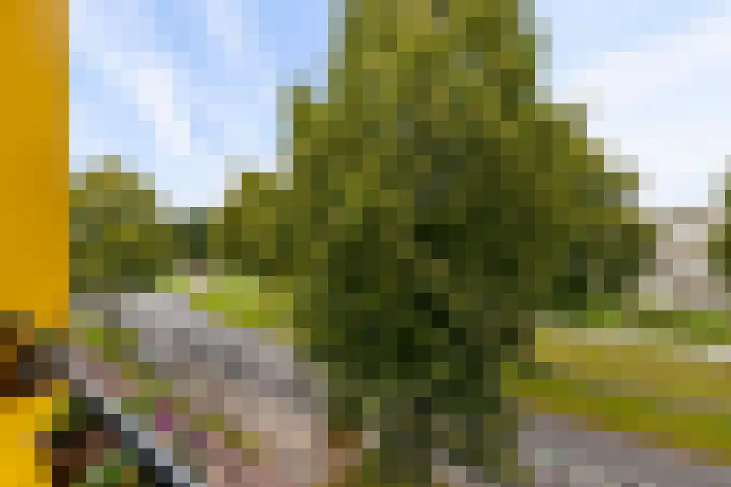 Wilhelmus Peekhof 115 Odijk thumbnail 46