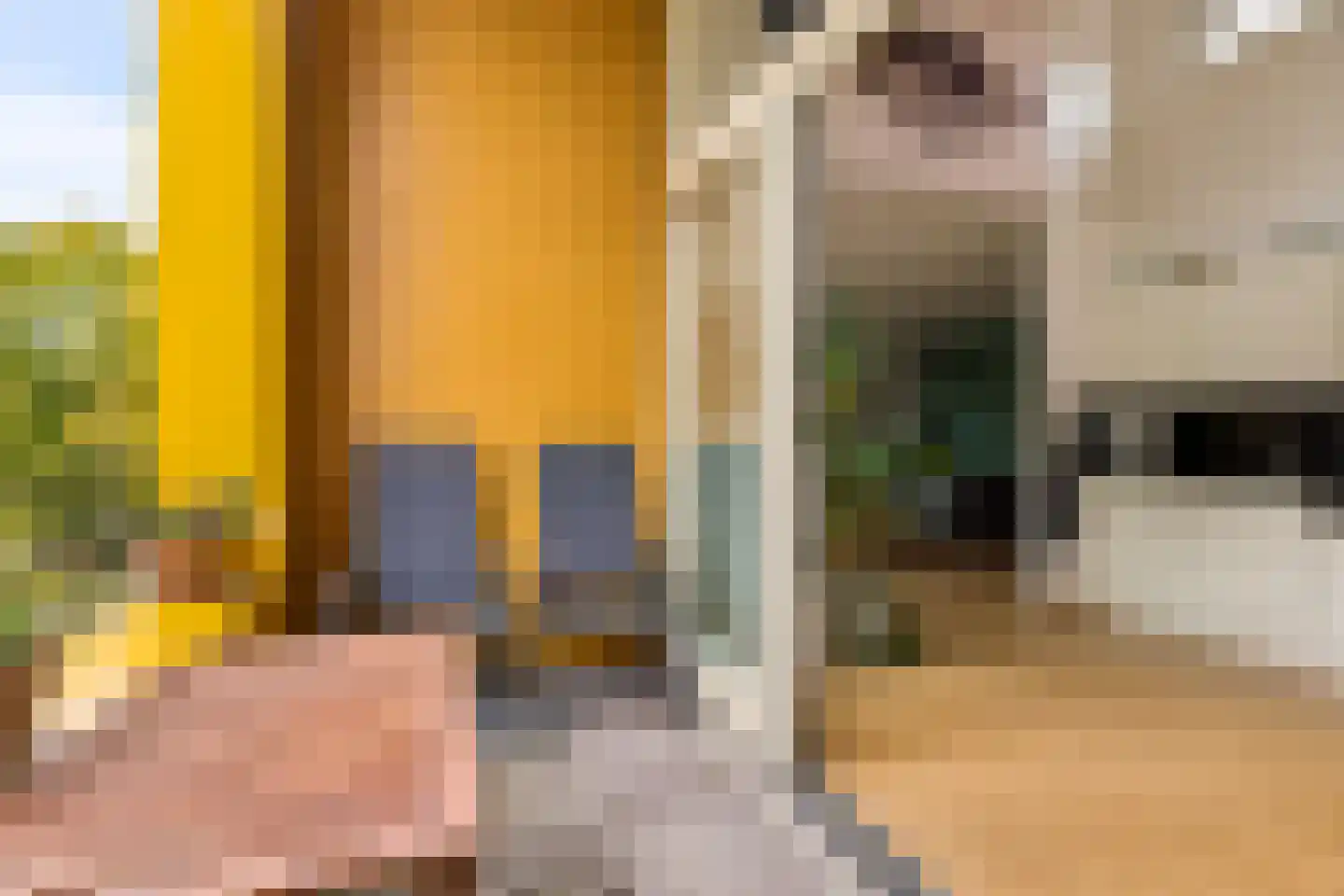 Wilhelmus Peekhof 115 Odijk thumbnail 48